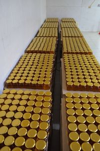 300 пчелосемей (фото 14)