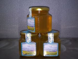 Экспорт мёда (фото 16)