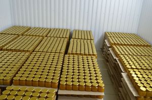 Экспорт мёда (фото 20)
